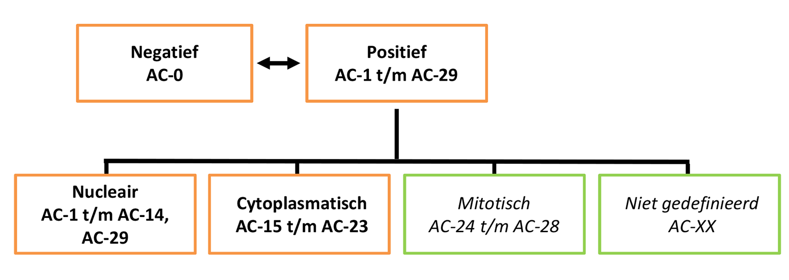 Stroomdiagram: Eerste niveau van de boomstructuur voor de nomenclatuur en classificatie voor IIF-patronen op HEp-2-celpreparaten. 