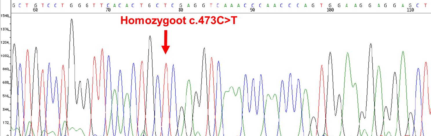 Afbeelding (kleur) figuur DNA-analyse
