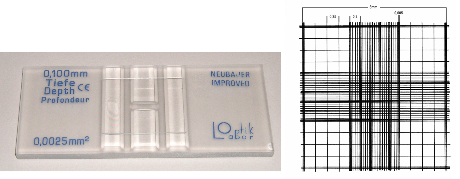 Figuur 1. Improved Neubauer telkamer (links) en het raster (rechts)